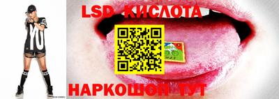 мдпв Ипатово