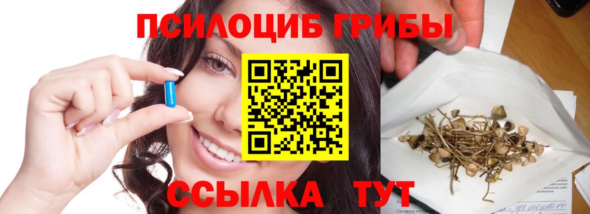 Галлюциногенные грибы Cubensis  Вход с VPN  Кыштым 